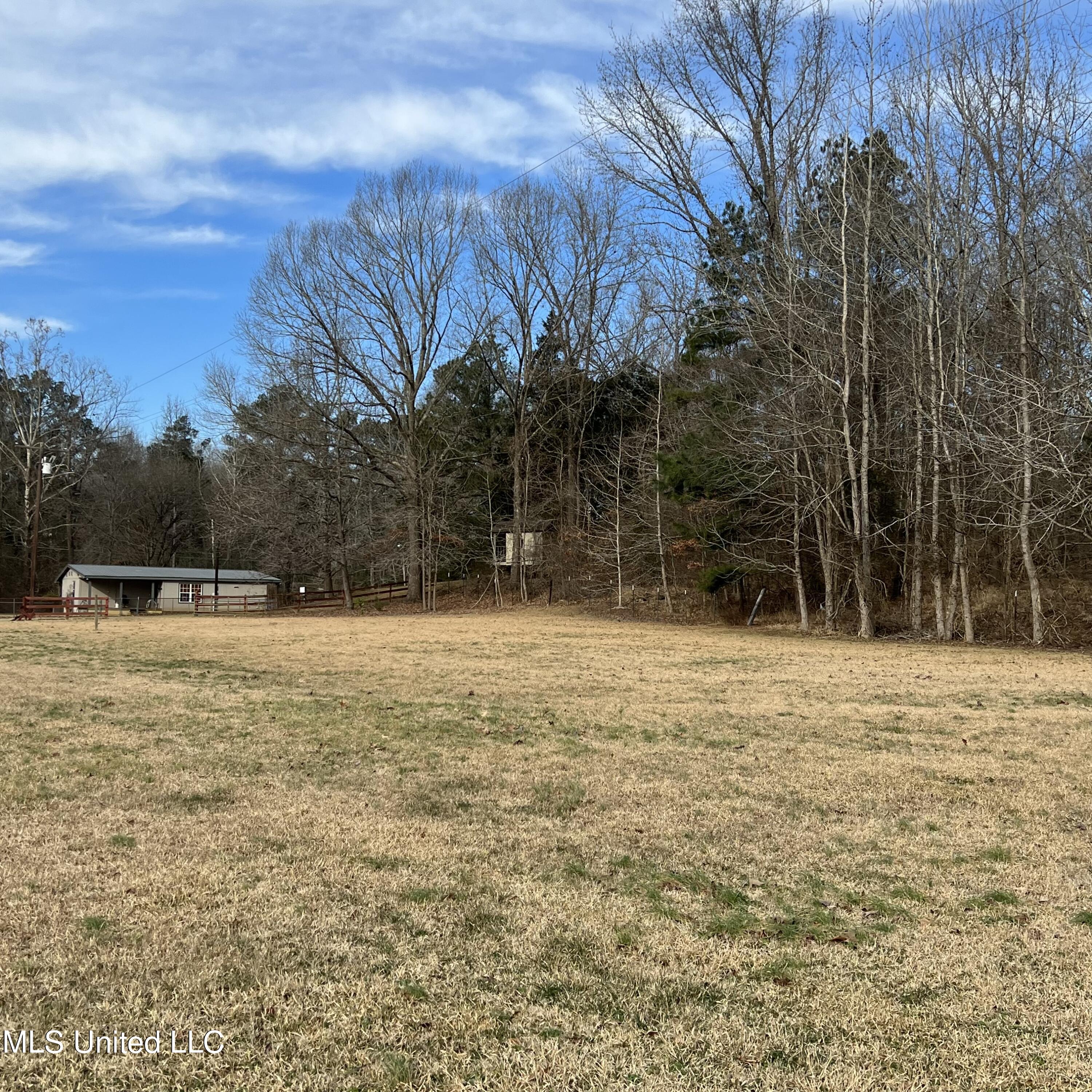5460 McIngvale Road Hernando, MS 38632 - Photo 5 of 14 IMG_8764