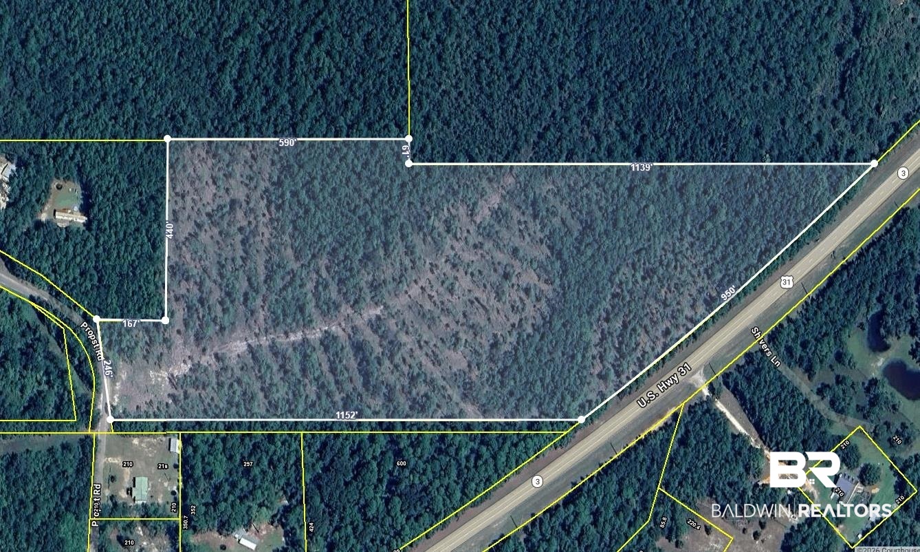 51290 Propst Road Bay Minette, AL 36507 - Photo 2 of 5 Map / location with property boundaries highlighted