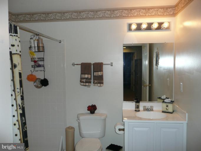 42739 Middle Ridge Place Broadlands, VA 20148 - Photo 13 of 30 a bathroom with a sink mirror and toilet