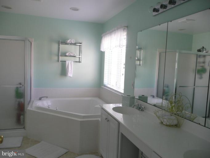 42739 Middle Ridge Place Broadlands, VA 20148 - Photo 23 of 30 a bathroom with a tub sink and mirror