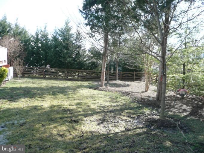 42739 Middle Ridge Place Broadlands, VA 20148 - Photo 30 of 30 a backyard of a house with lots of green space