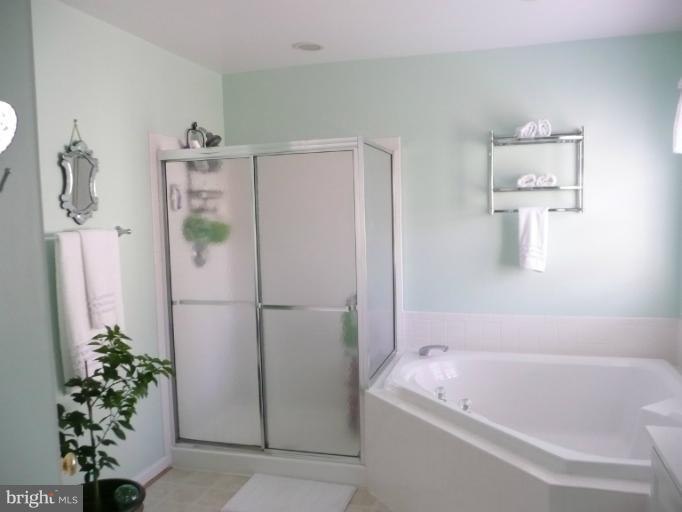 42739 Middle Ridge Place Broadlands, VA 20148 - Photo 8 of 30 a bathroom with a tub a potted plant and a shower