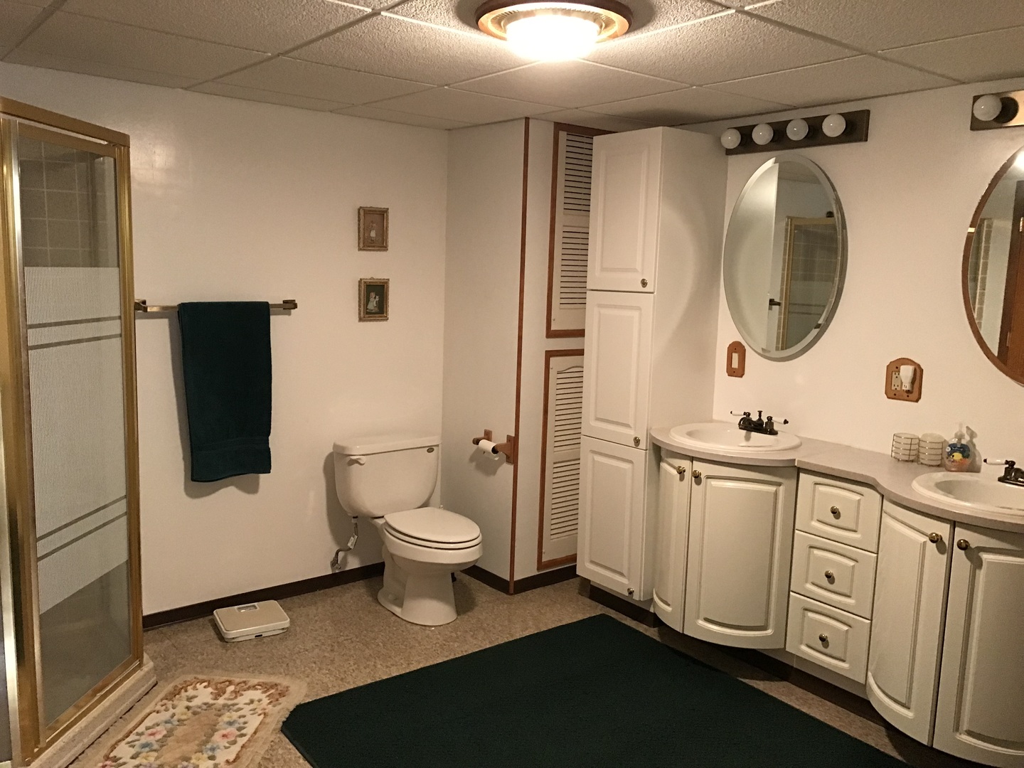 117 County Road 320 North Loda, IL 60948 - Photo 20 of 27 a bathroom with a toilet a sink and mirror