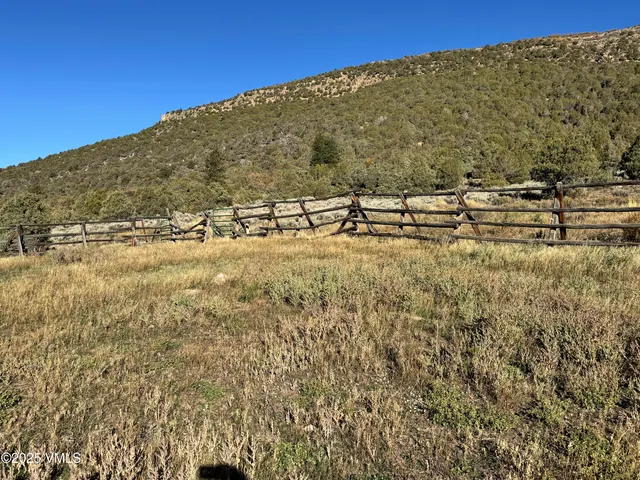 a view of a yard with an outdoor space
