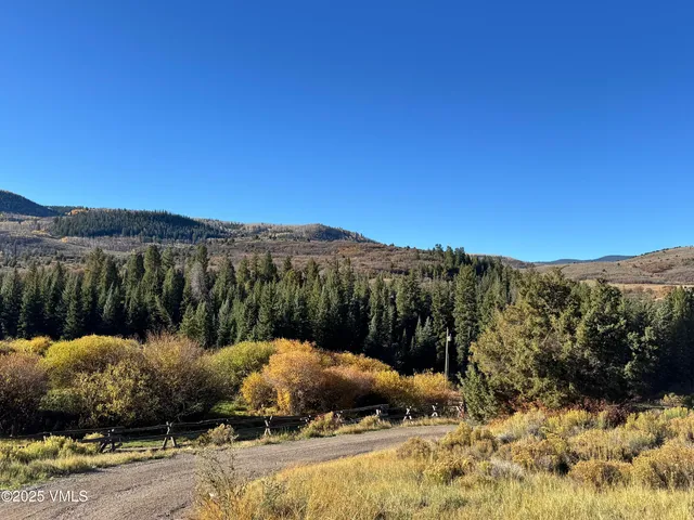 a view of a backyard with a large tree
