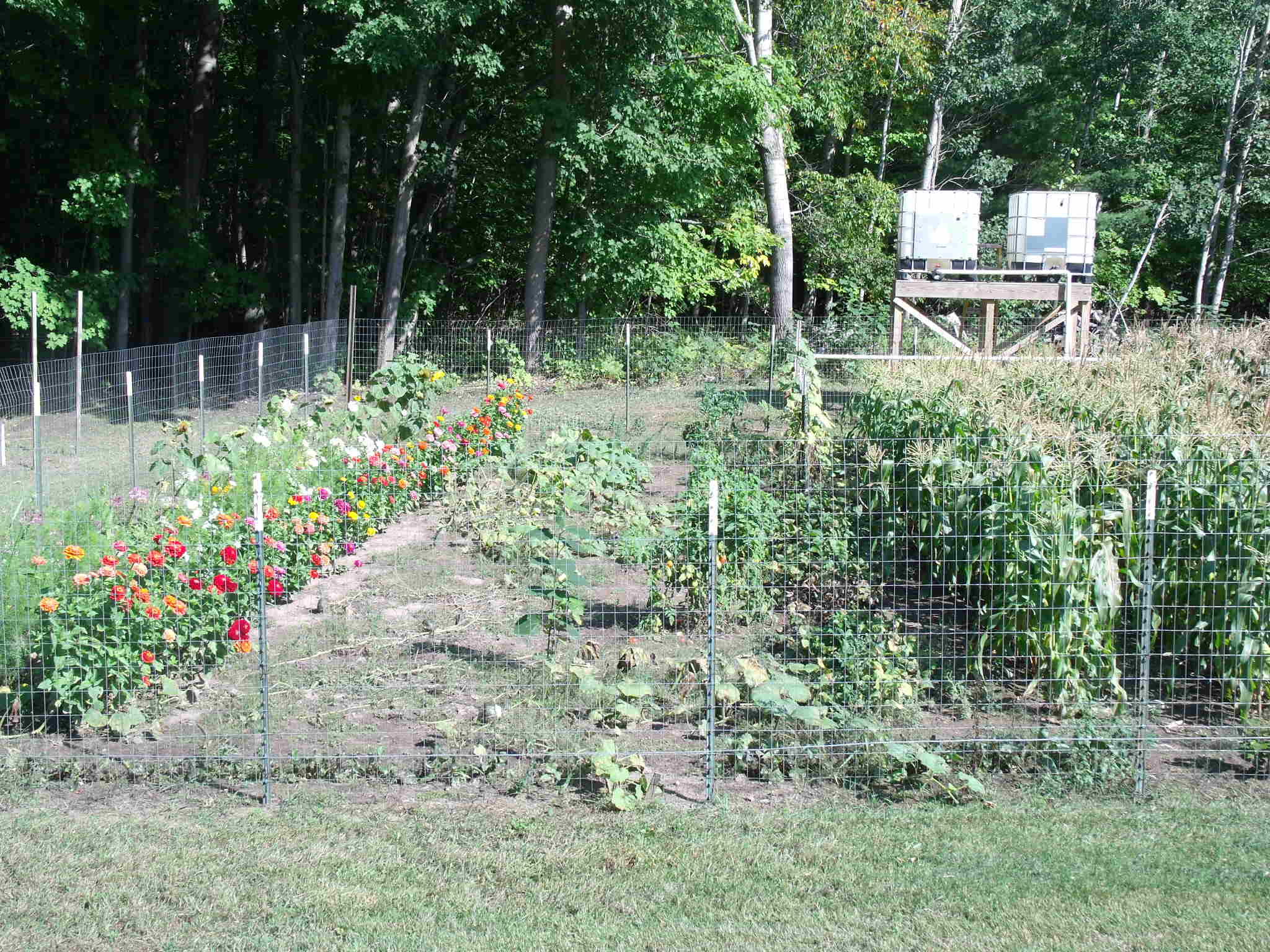 8126 Mullett Lake Road Cheboygan, MI 49721 - Photo 54 of 70 Gallery Image 54