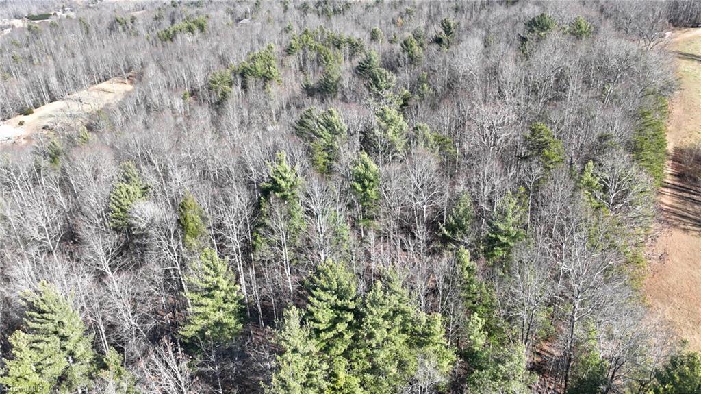 541 Pennell Road Moravian Falls, NC 28654 - Photo 39 of 50