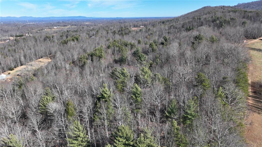 541 Pennell Road Moravian Falls, NC 28654 - Photo 40 of 50