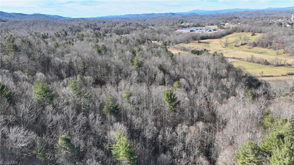 541 Pennell Road Moravian Falls, NC 28654 - Photo 43 of 50