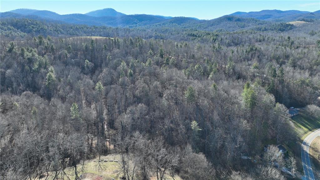 541 Pennell Road Moravian Falls, NC 28654 - Photo 44 of 50