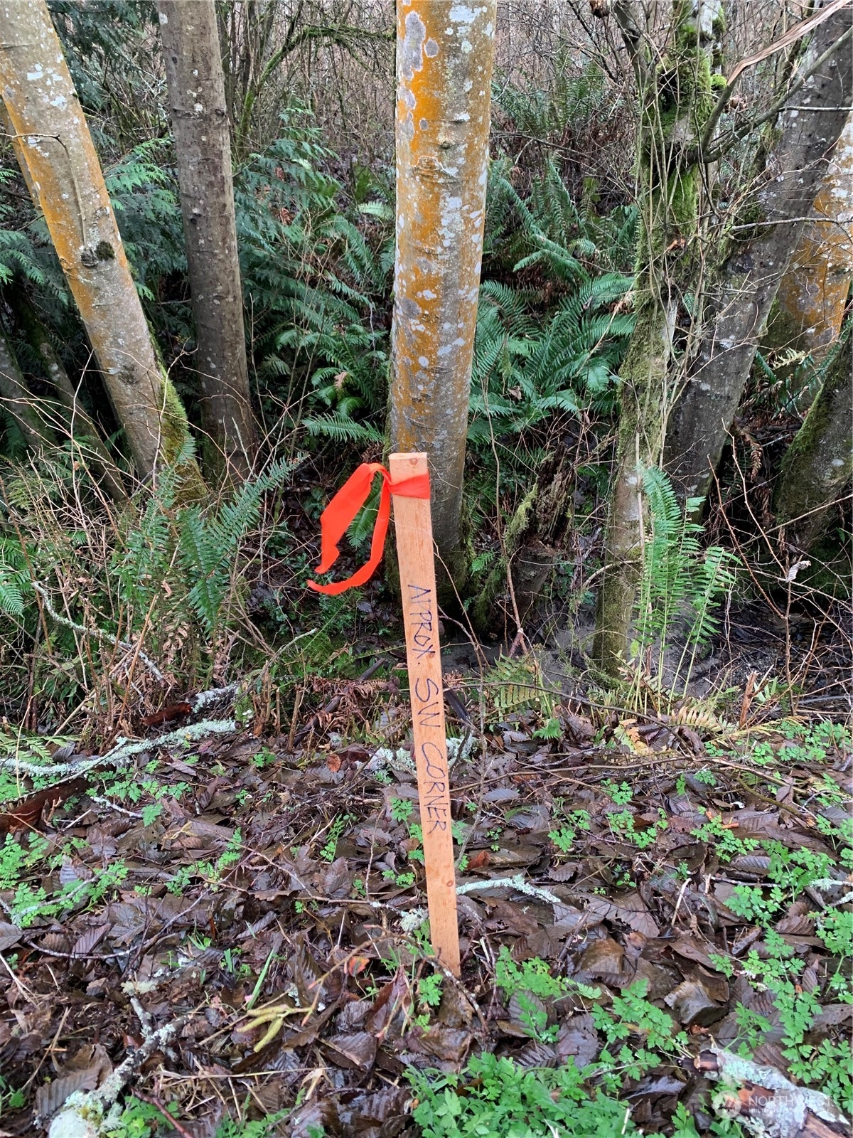 0 Northeast Parcells Road Kingston, WA 98346 - Photo 22 of 23 Gallery Image 22