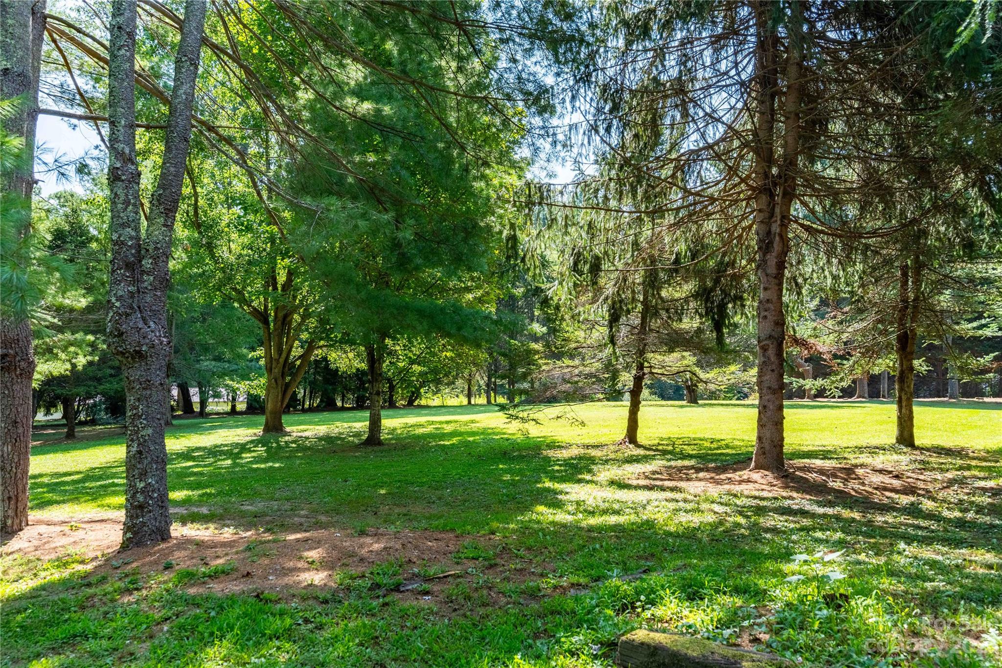 98 Williams Road Fletcher, NC 28732 - Photo 3 of 33 Gallery Image 3