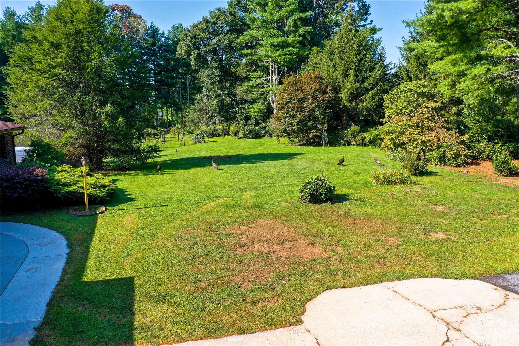 98 Williams Road Fletcher, NC 28732 - Photo 31 of 33 Gallery Image 31