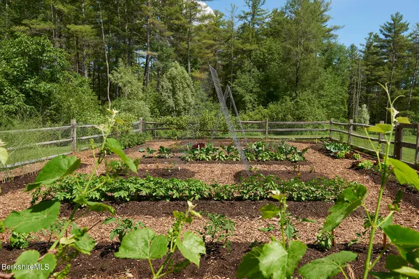 a view of a big house with a big yard and potted plants and large trees