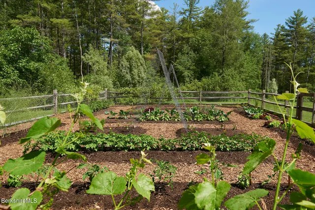 a view of a big house with a big yard and potted plants and large trees