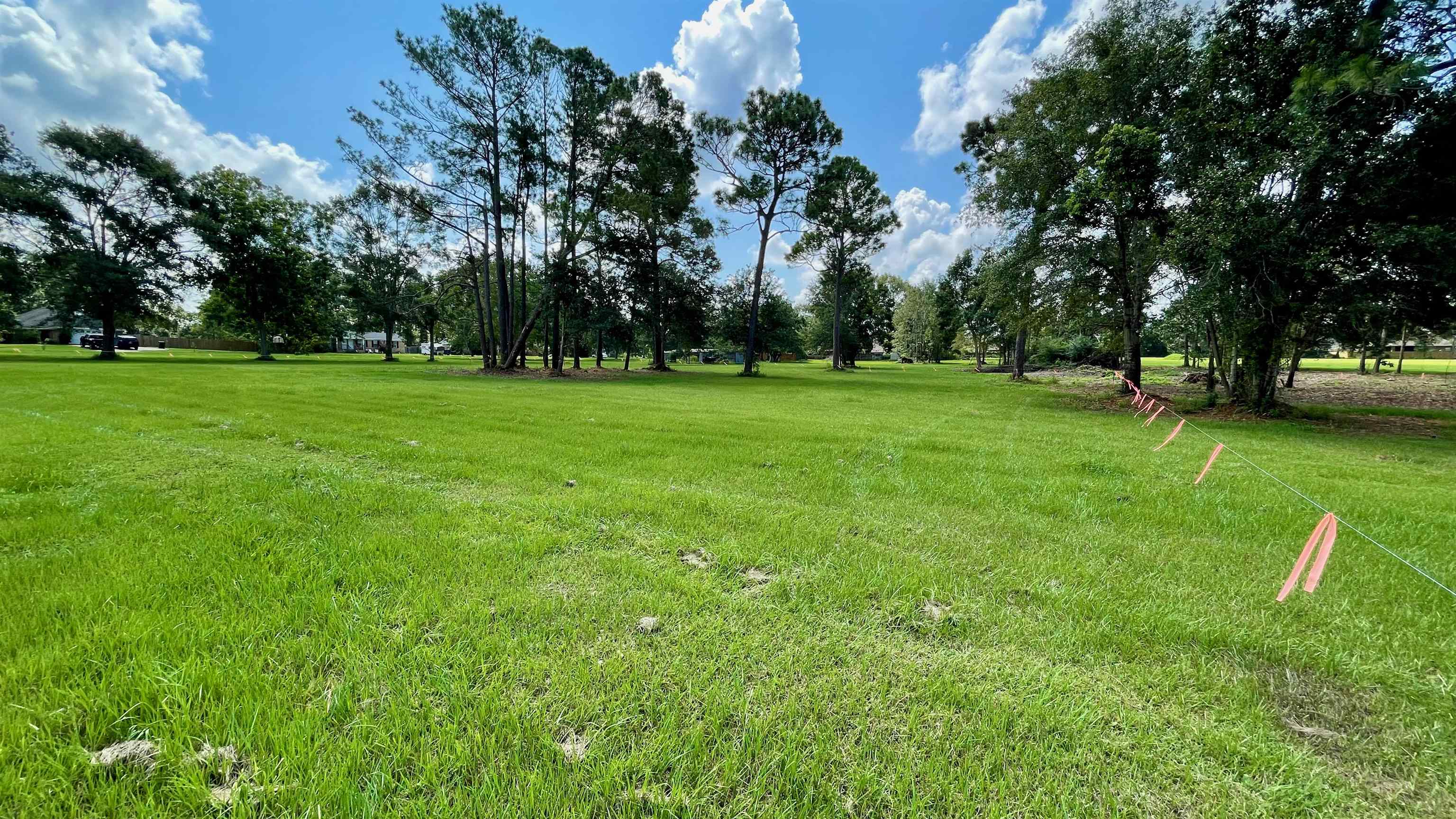 0 Gayfer Road Extension Daphne, AL 36526 - Photo 3 of 3
