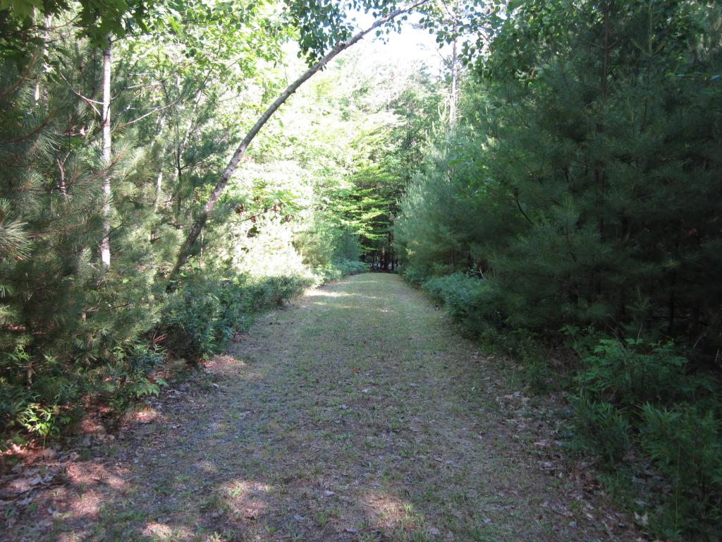 207 Perch Pond Road Lisbon, NH 03585 - Photo 2 of 5
