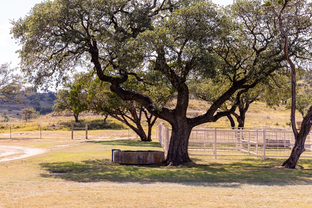 945 Elm Pass Road Center Point, TX 78010 - Photo 33 of 41