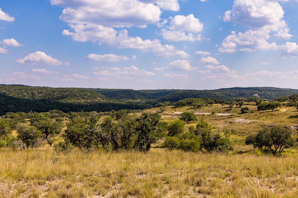 945 Elm Pass Road Center Point, TX 78010 - Photo 38 of 41