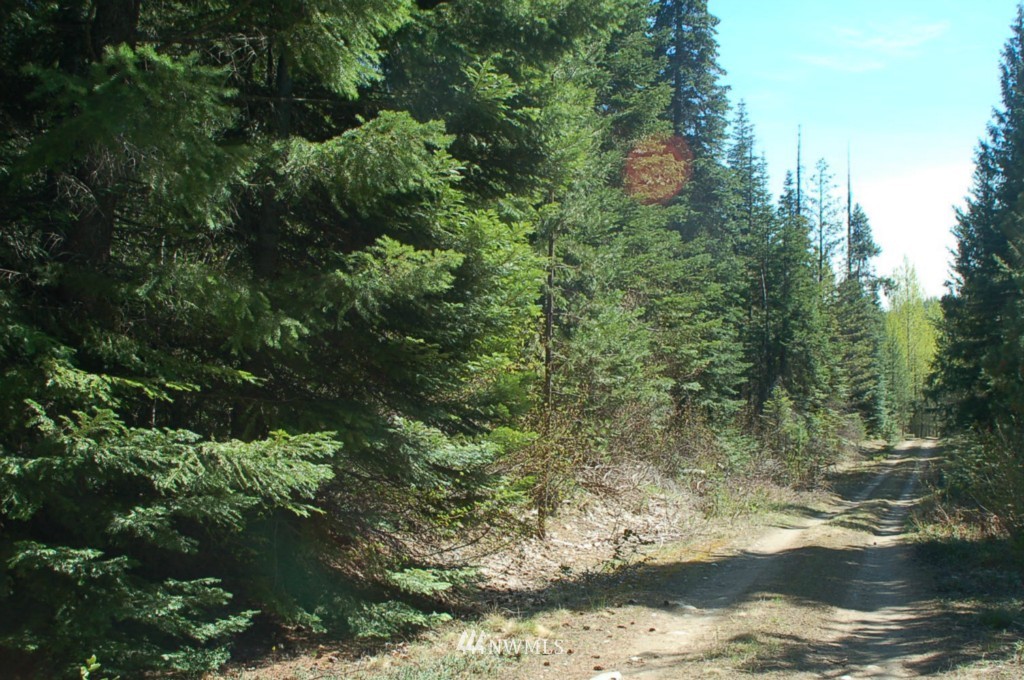 0 Chiwawa Loop Road Leavenworth, WA 98826 - Photo 1 of 6 Gallery Image 1