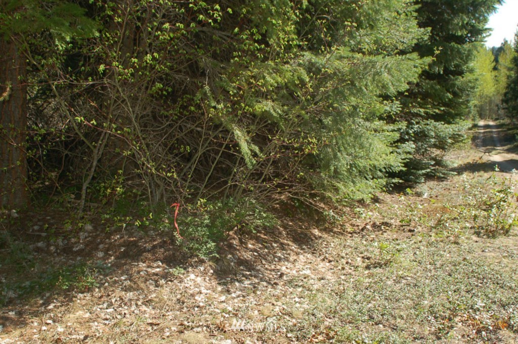 0 Chiwawa Loop Road Leavenworth, WA 98826 - Photo 2 of 6 Gallery Image 2