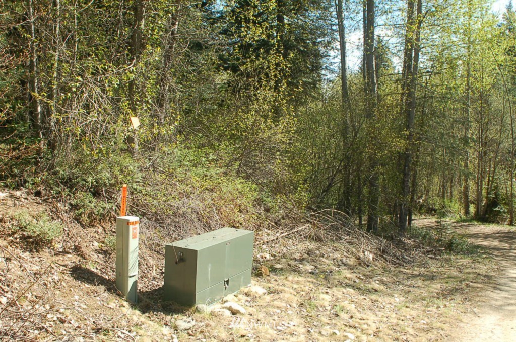 0 Chiwawa Loop Road Leavenworth, WA 98826 - Photo 3 of 6 Gallery Image 3