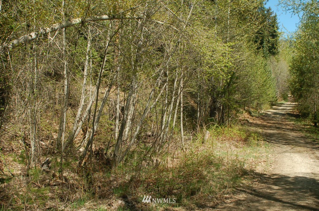 0 Chiwawa Loop Road Leavenworth, WA 98826 - Photo 4 of 6 Gallery Image 4
