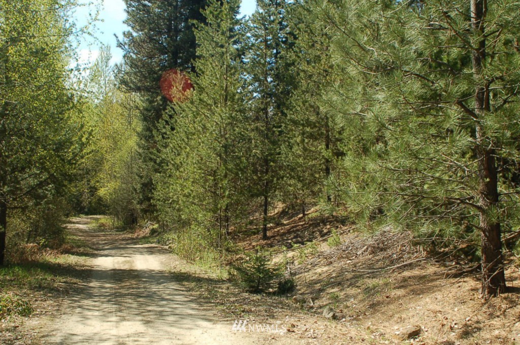 0 Chiwawa Loop Road Leavenworth, WA 98826 - Photo 5 of 6 Gallery Image 5