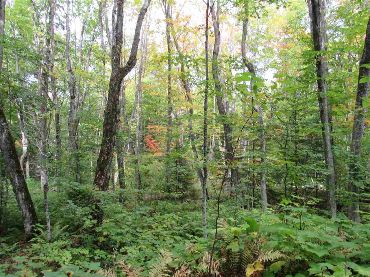53115 Braeloch Road Atlantic Mine, MI 49905 - Photo 76 of 81 1870410-76.JPG