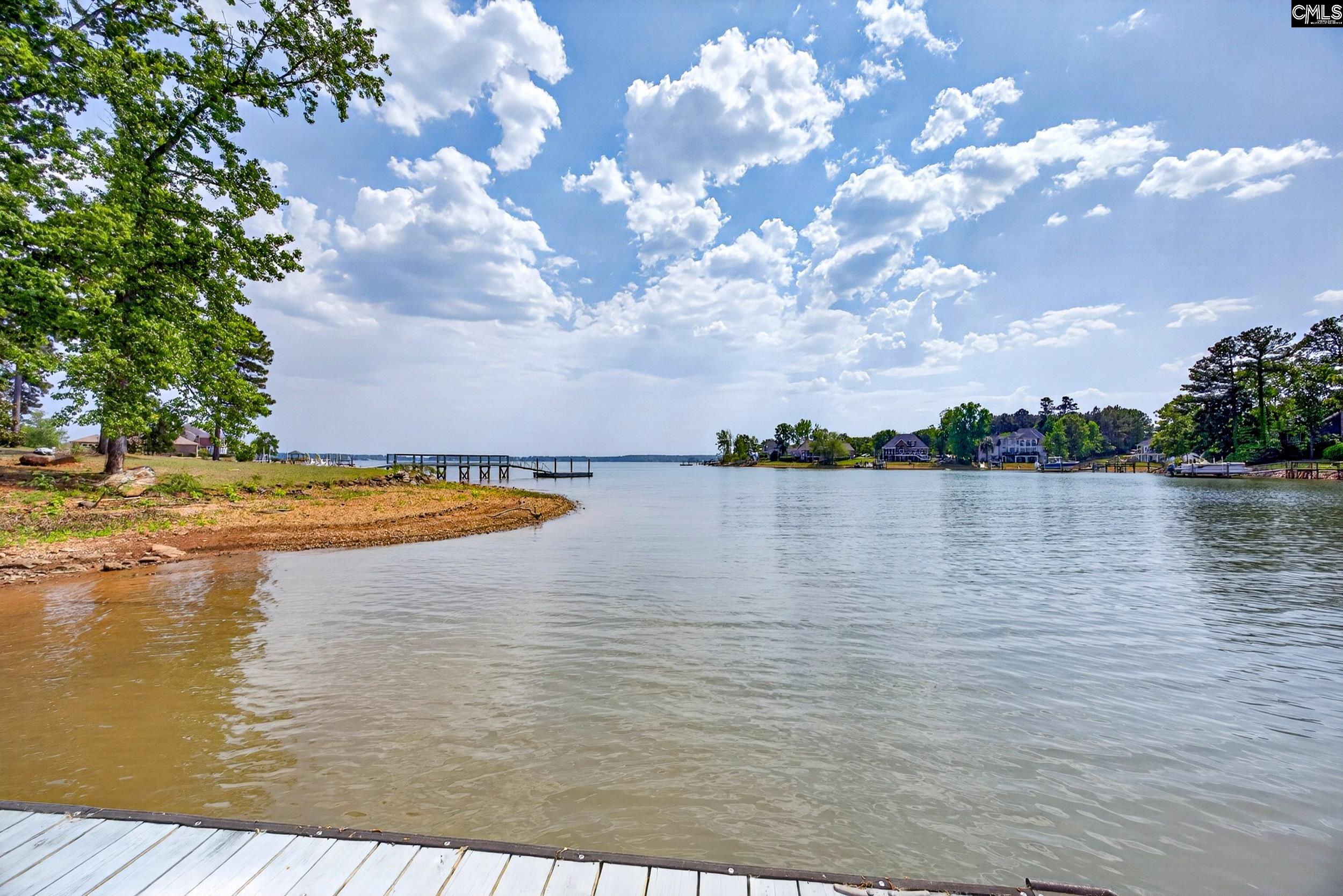 104 Turtle Pointe Court Chapin, SC 29036 - Photo 50 of 50