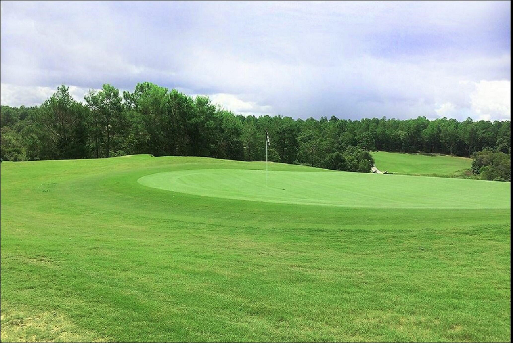 858 Otto Loop Crestview, FL 32539 - Photo 34 of 34 Blackston Golf Course