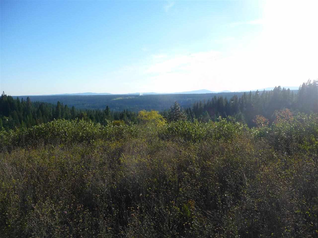 Off Fair View Road Elk, WA 99009 - Photo 1 of 9 Gallery Image 1