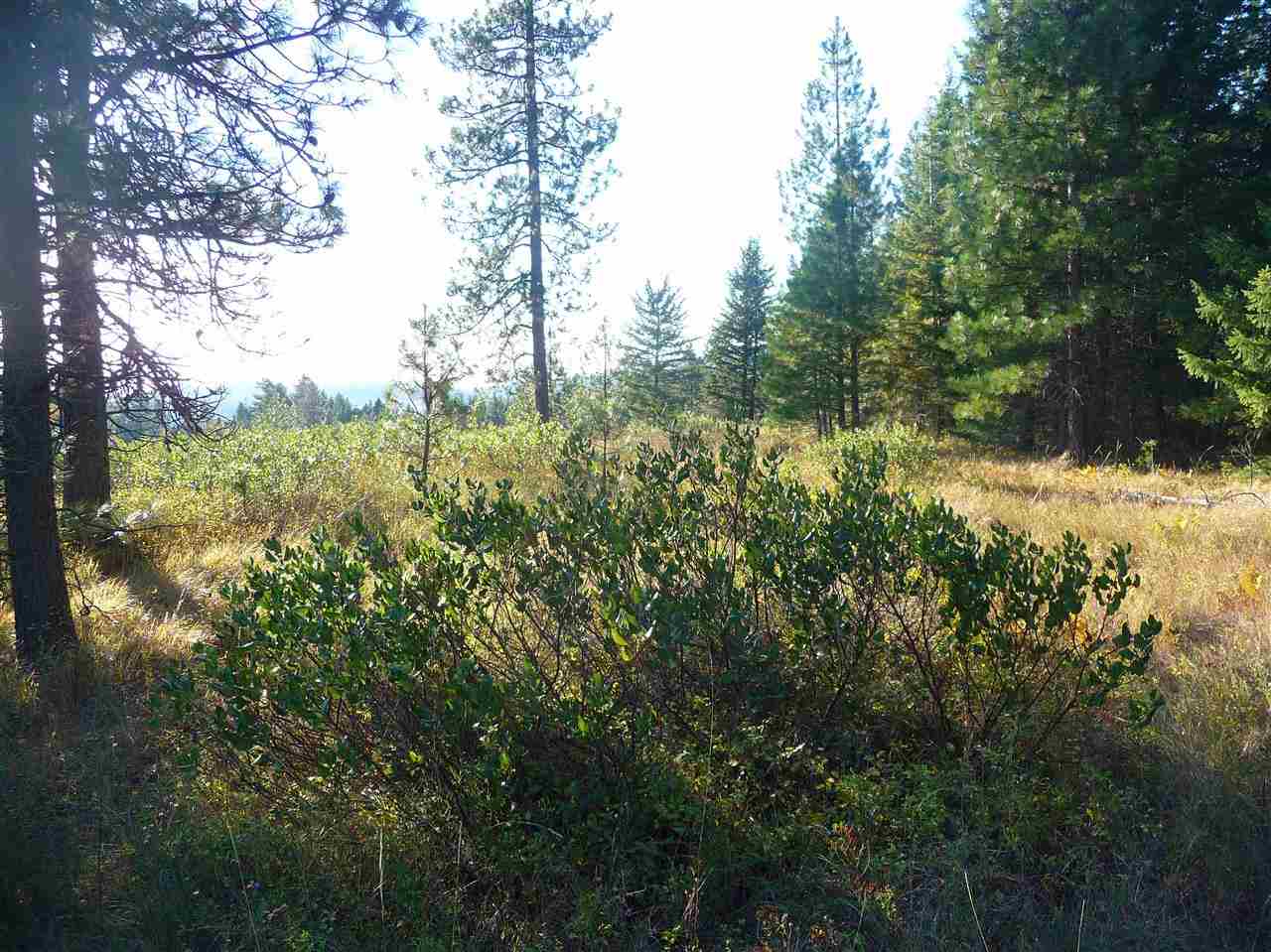 Off Fair View Road Elk, WA 99009 - Photo 2 of 9 Gallery Image 2