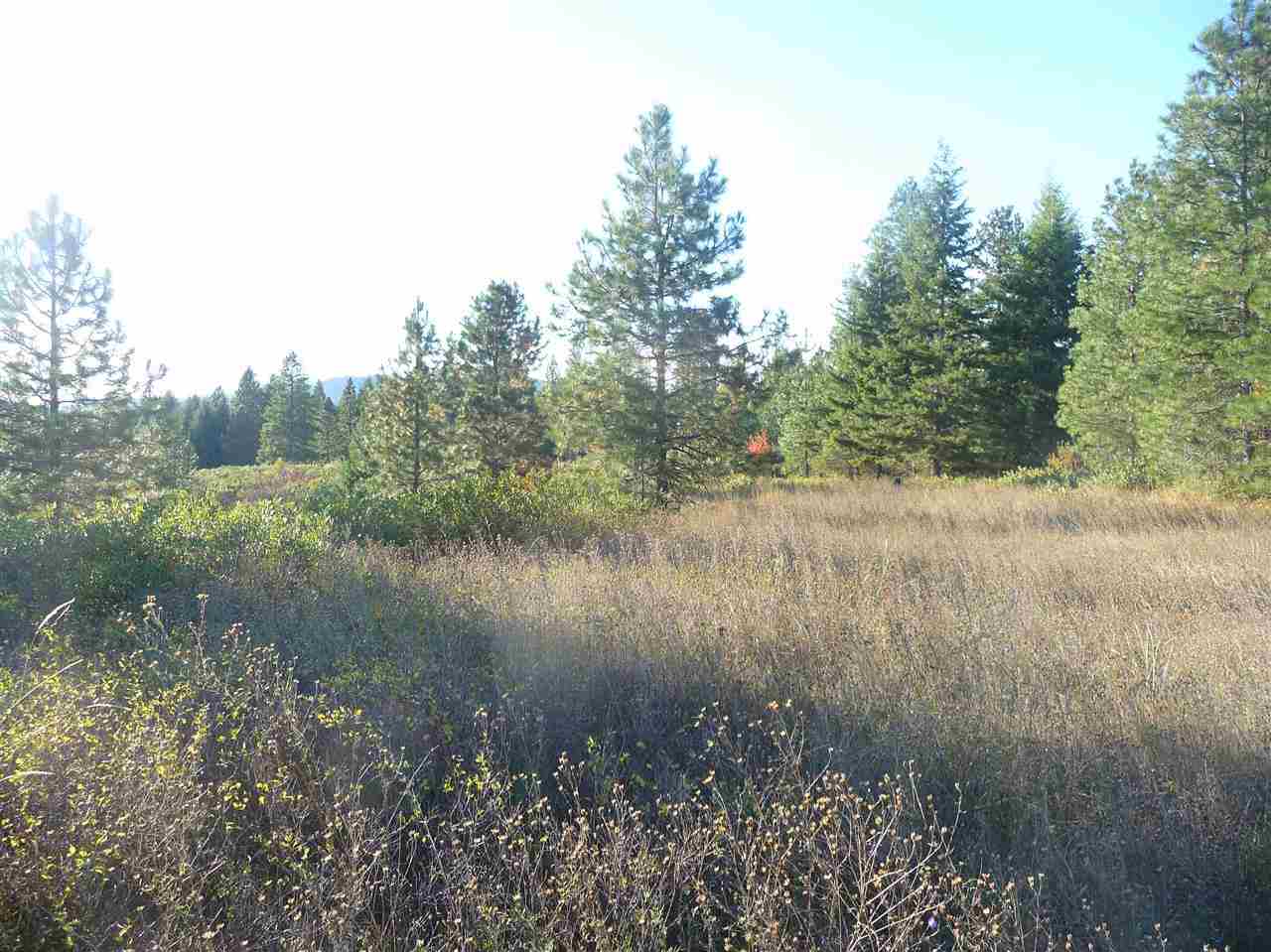 Off Fair View Road Elk, WA 99009 - Photo 3 of 9 Gallery Image 3