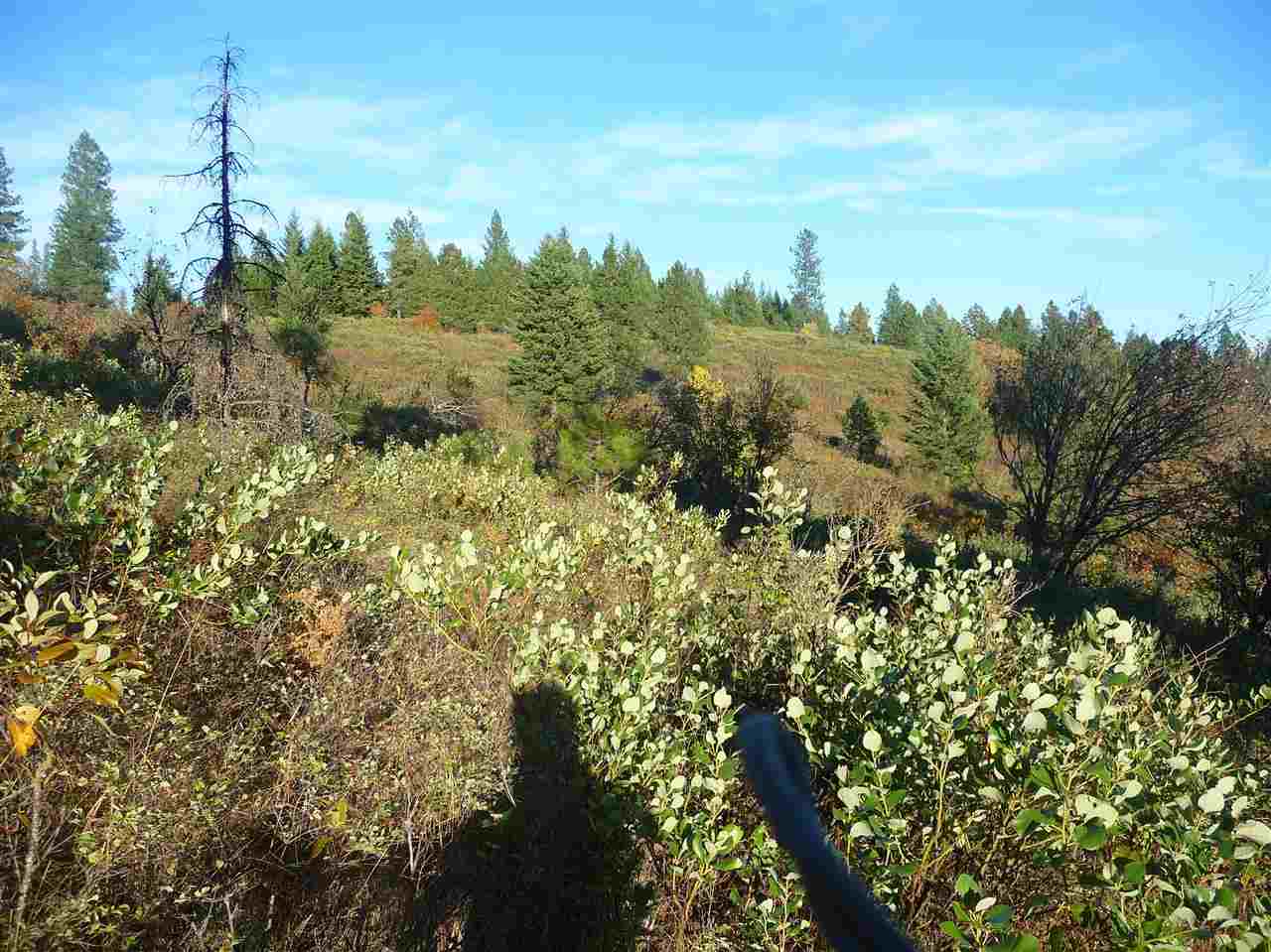 Off Fair View Road Elk, WA 99009 - Photo 4 of 9 Gallery Image 4
