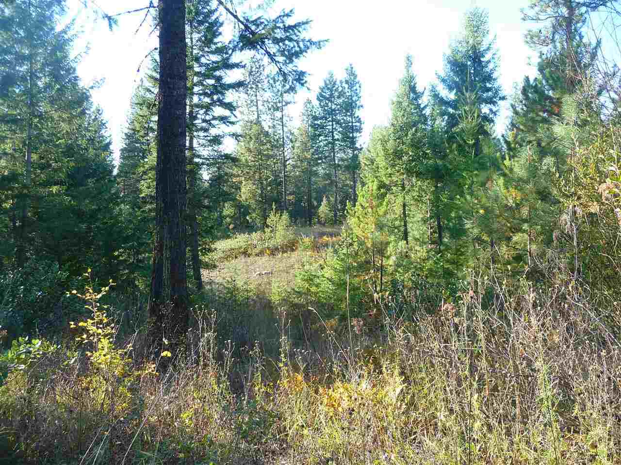 Off Fair View Road Elk, WA 99009 - Photo 5 of 9 Gallery Image 5