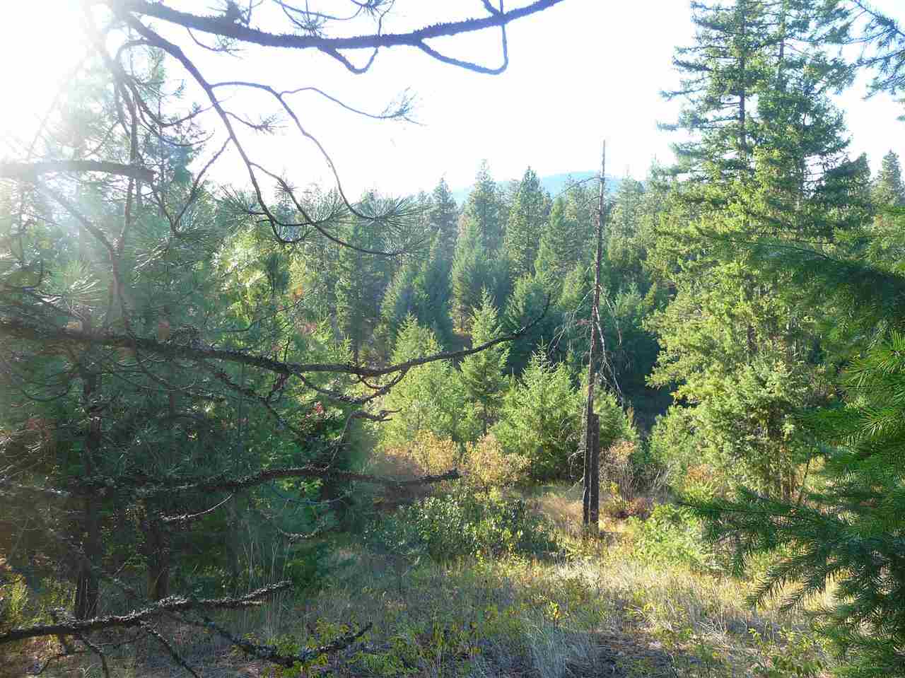 Off Fair View Road Elk, WA 99009 - Photo 6 of 9 Gallery Image 6