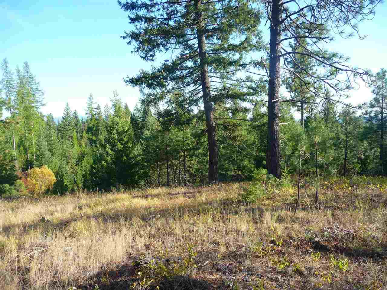 Off Fair View Road Elk, WA 99009 - Photo 7 of 9 Gallery Image 7