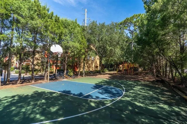 a view of a park with large trees