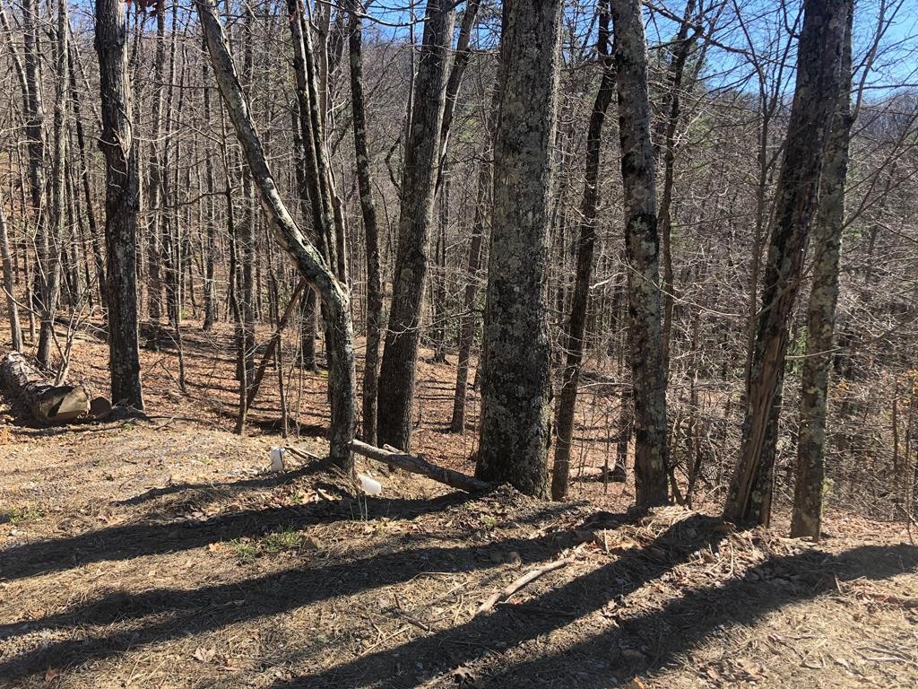 49 Magnolia Place Sevierville, TN 37876 - Photo 1 of 10