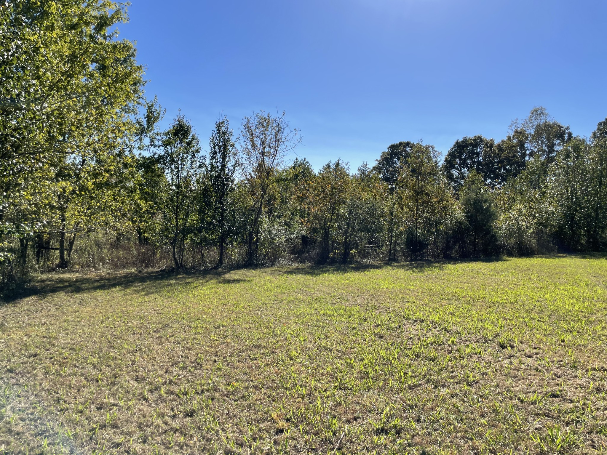 82 Ben Thompson Road Kelso, TN 37348 - Photo 11 of 13 a view of outdoor space and yard