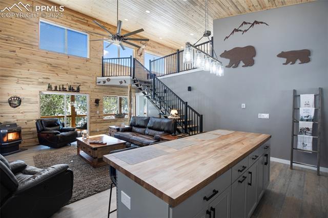 265 Arrowhead Road Florissant, CO 80816 - Photo 15 of 50