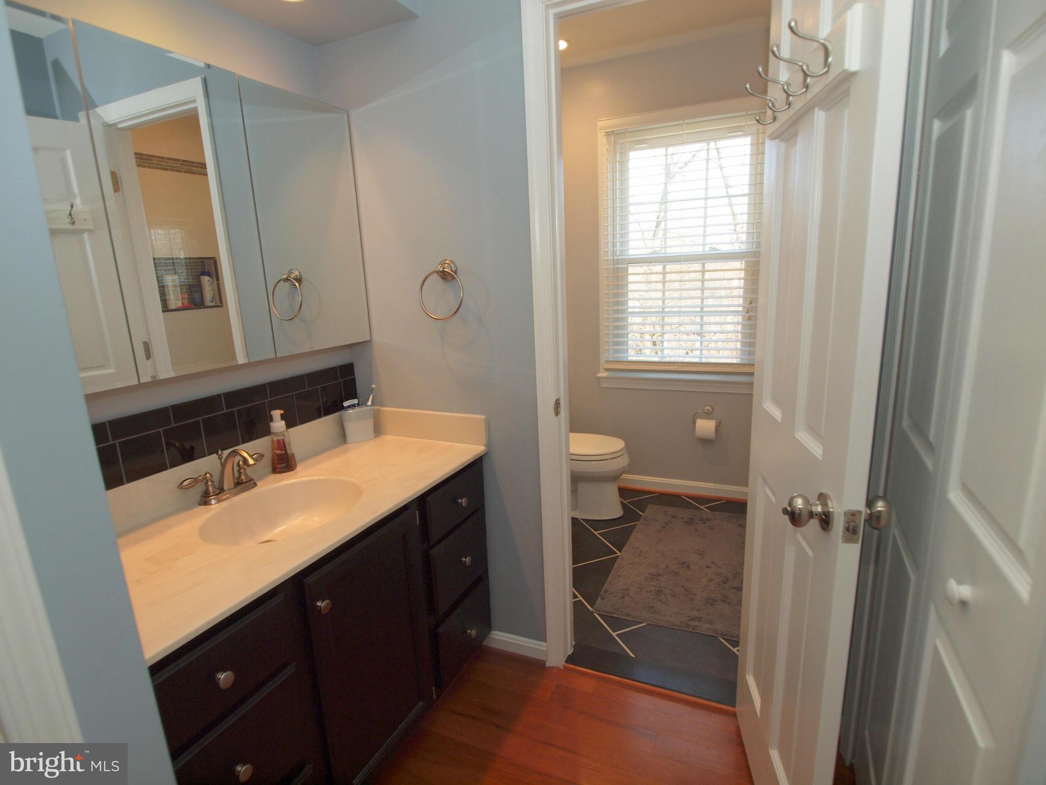 6823 Spring Beauty Court Springfield, VA 22152 - Photo 13 of 29 a bathroom with a sink a toilet and a mirror