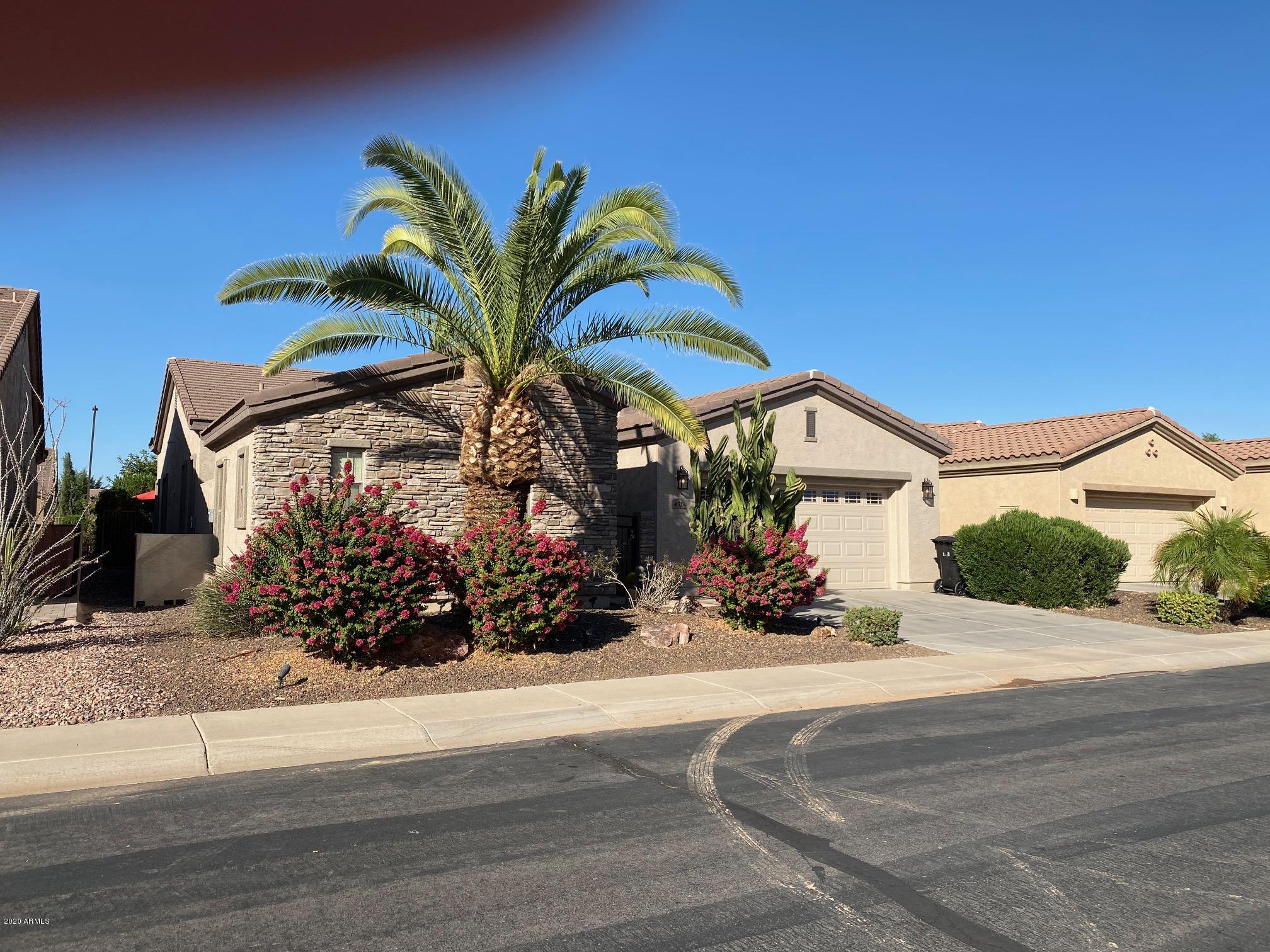 4514 East Rakestraw Lane Gilbert, AZ 85298 - Photo 16 of 42 IMG_0917