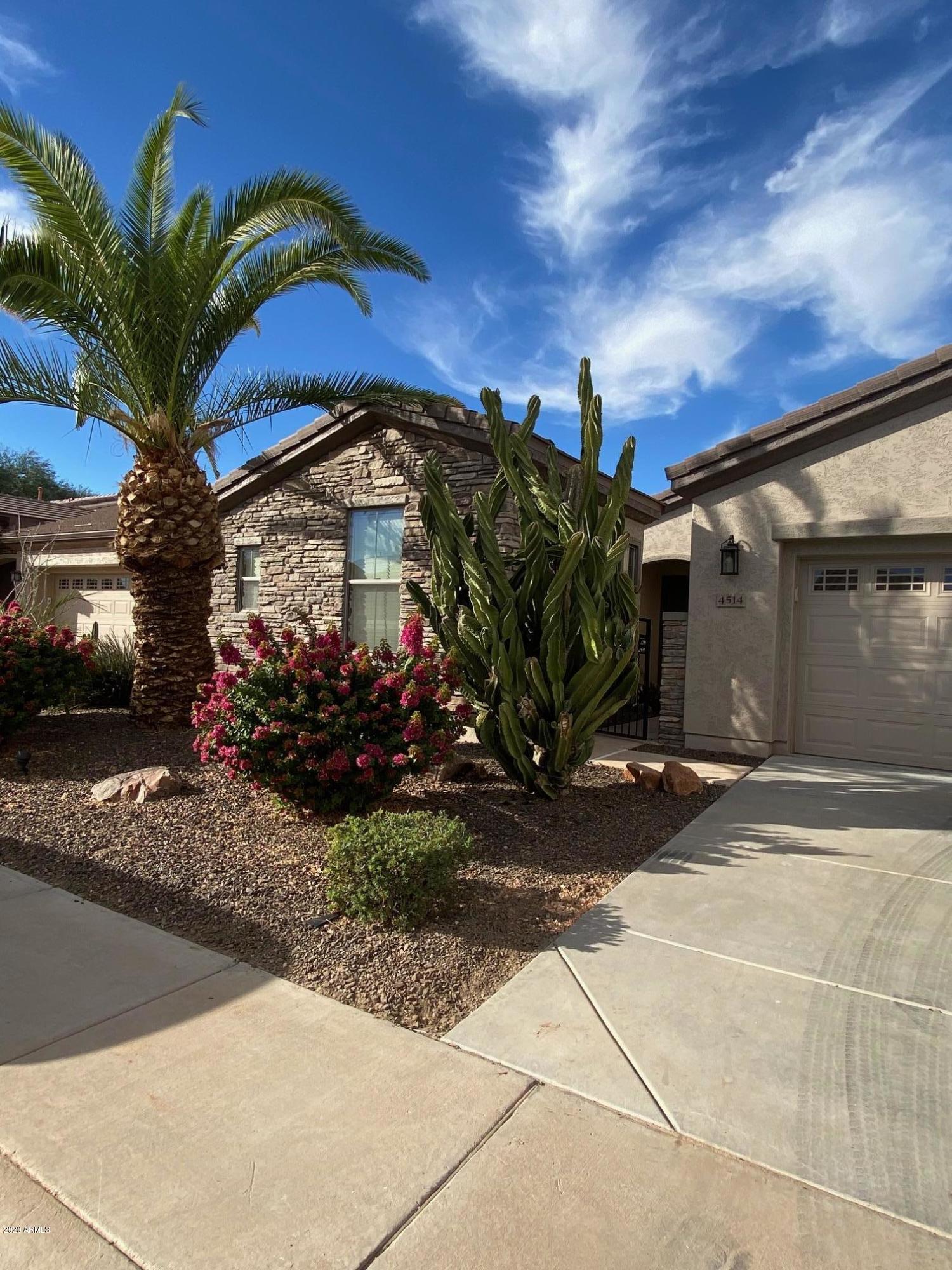 4514 East Rakestraw Lane Gilbert, AZ 85298 - Photo 31 of 42 IMG_0869