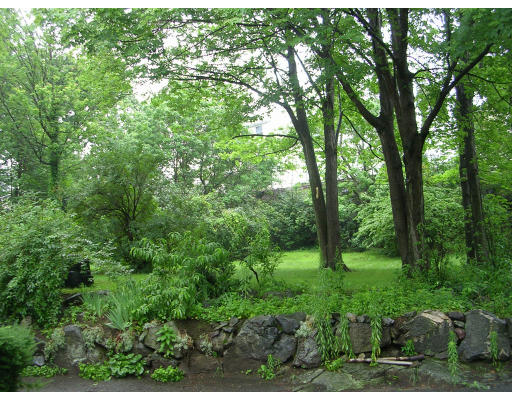68 Spring Street Stoneham, MA 02180 - Photo 3 of 5 a view of a lush green forest