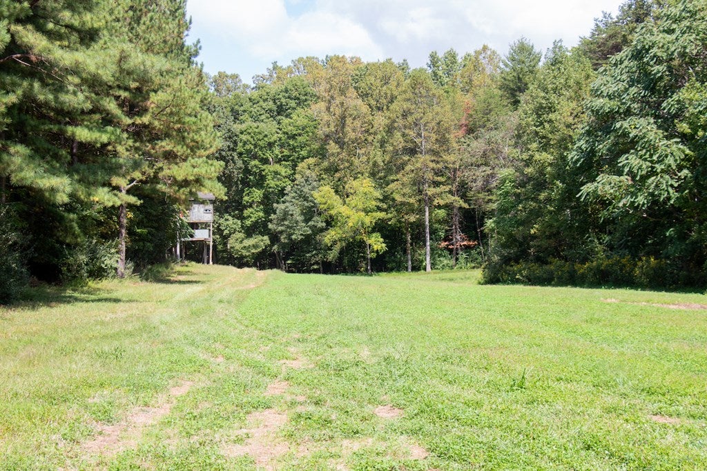 South County Line Road Patrick Springs, VA 24133 - Photo 40 of 54 Gallery Image 40