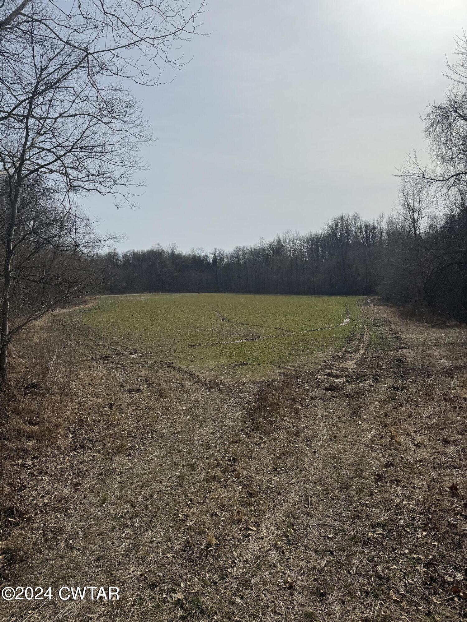 0 Olds Road Halls, TN 38040 - Photo 15 of 17 IMG_5778