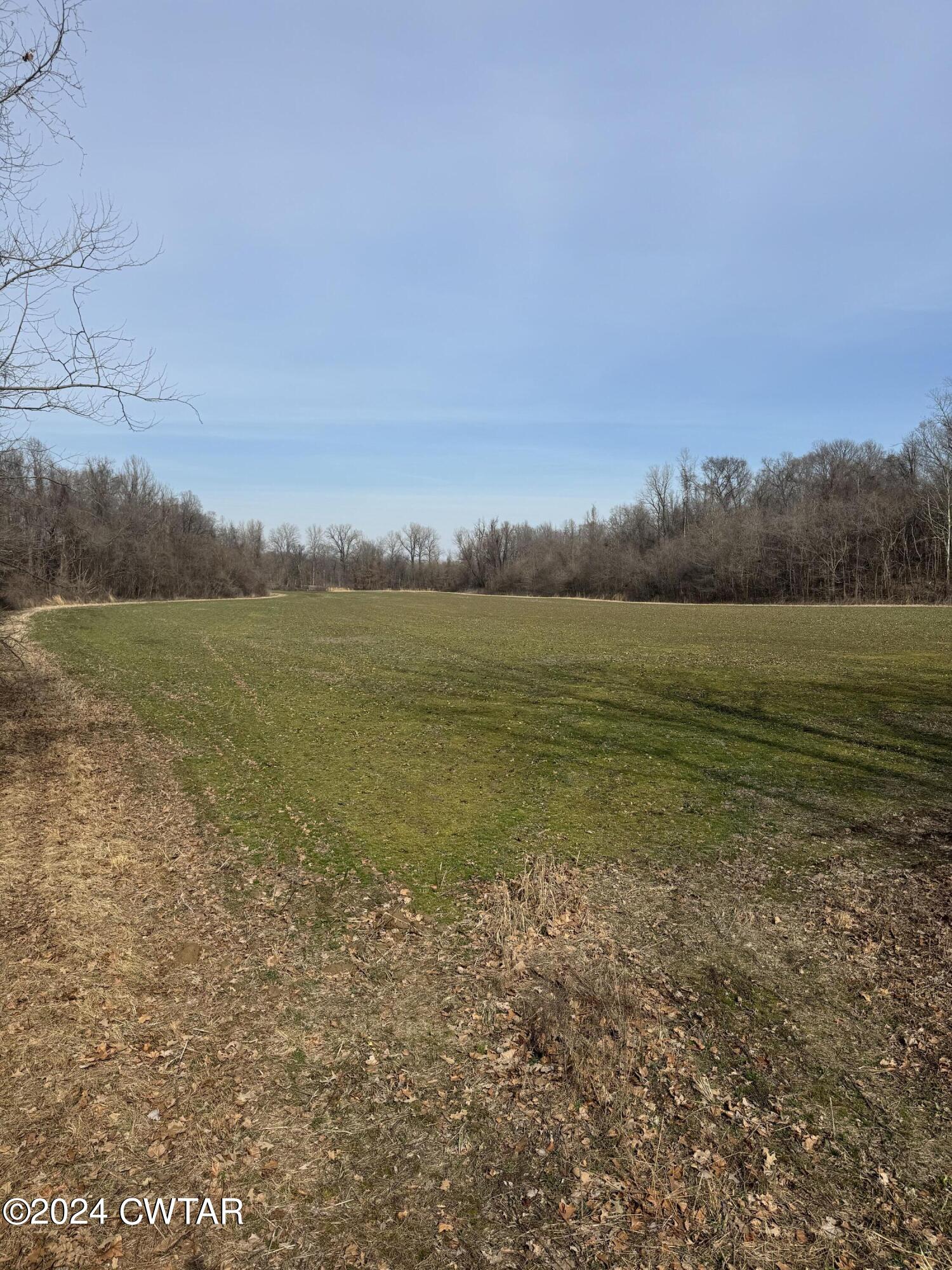 0 Olds Road Halls, TN 38040 - Photo 17 of 17 IMG_5776