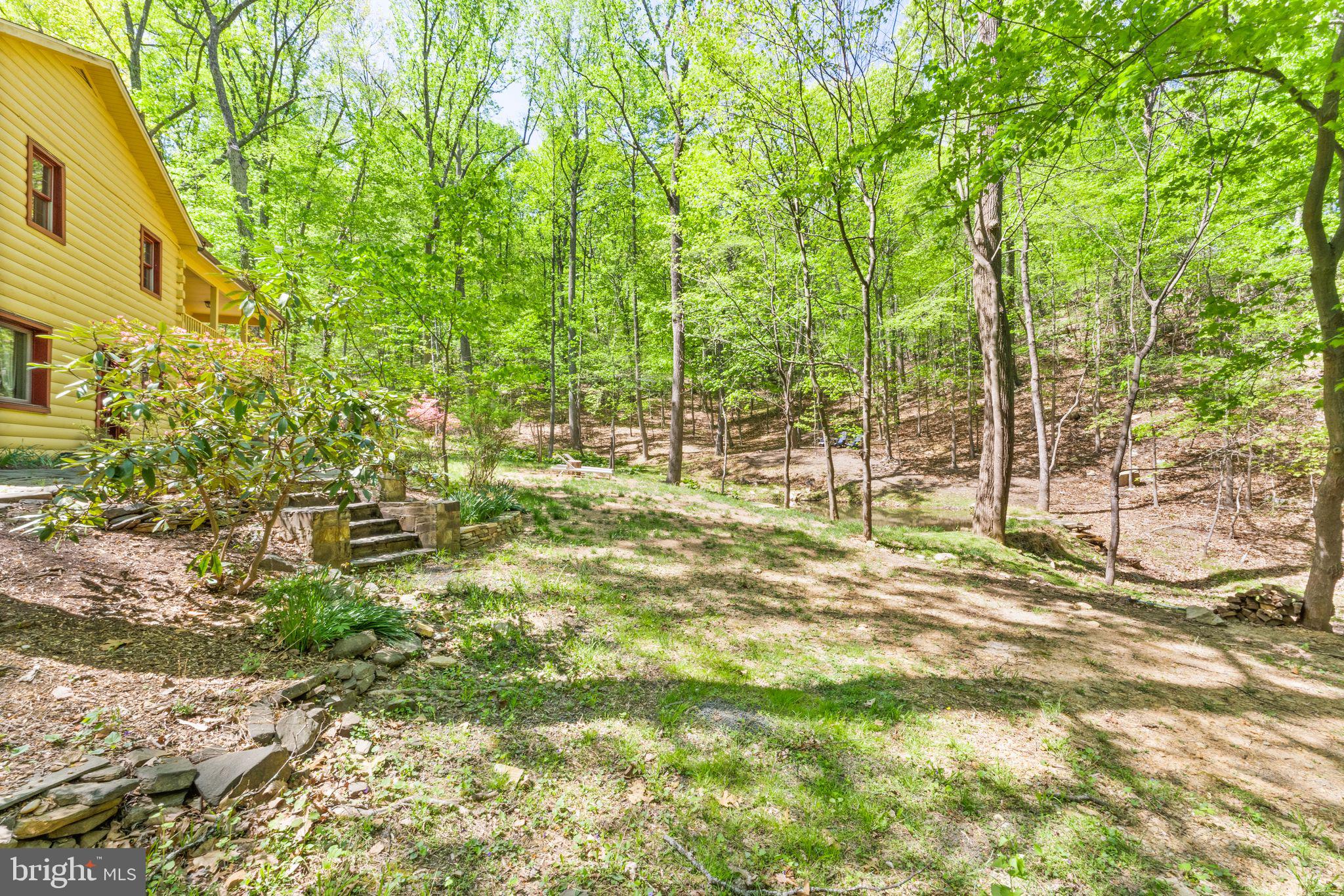 1850 Ridge Road Haymarket, VA 20169 - Photo 66 of 85